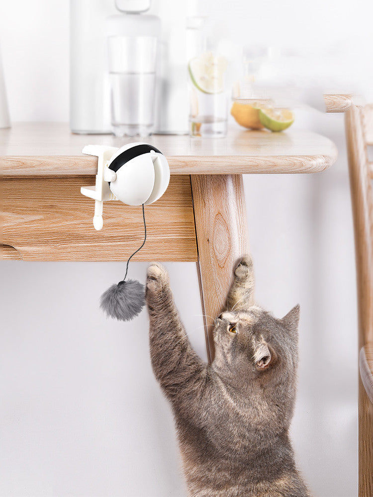 Smart Motion – Jouet interactif pour chat