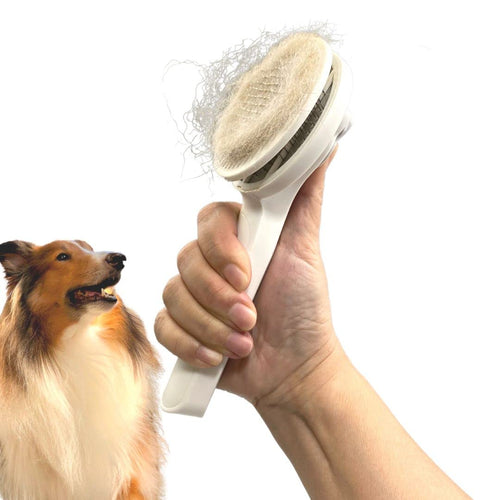 Brosse de toilettage autonettoyante – Chien & Chat